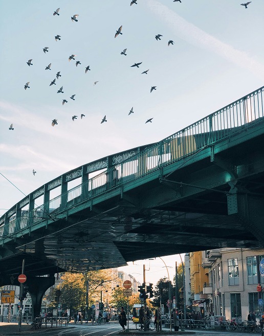 Vogelschwarm fliegt über eine grüne stählerne Hochbahnbrücke an einer belebten Kreuzung