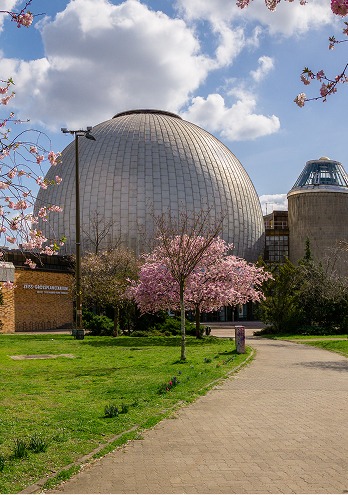 Silberne Planetariumskuppel hinter blühenden Kirschbäumen an einem gepflasterten Weg